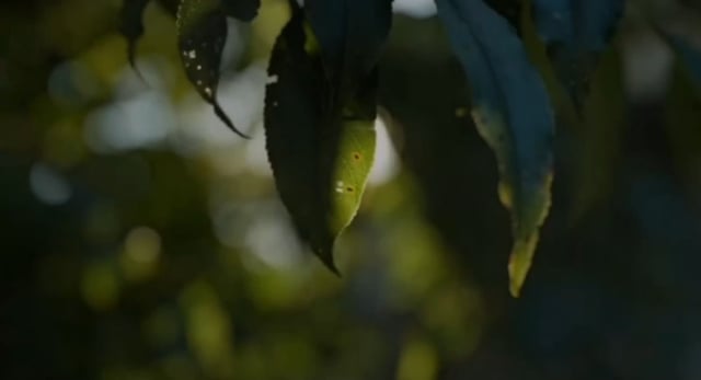 Pittsburgh roofing company